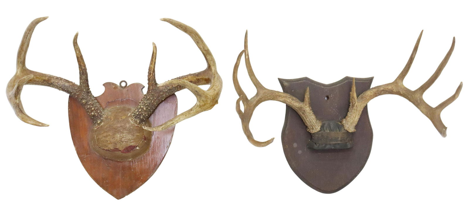 (2) MULE DEER ANTLER RACKS ON PLAQUES: (lot of 2) Mule Deer antlers mounted on shield form wood plaques, C. 1950's: (1) 10 point rack, overall including plaque, 16.5"h, 19.25"w, 13.5"d; *1) 8 point rack, overall including plaque: 16"h, 20"