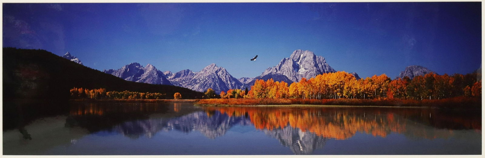THOMAS MANGELSEN (B1945) LARGE PHOTO, 'OXBOW BEND': Framed limited edition color photo, "High Noon on the Oxbow Bend - Bald Eagle and Osprey," signed lower right Thomas D. Mangelsen (American, b.1945), numbered 523/3500, dated 2003, retaining artist's