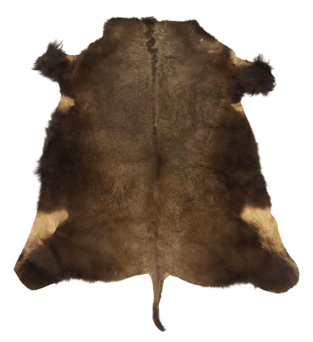LARGE BISON HIDE RUG, 101"L X 82" W: Large Bison hide rug, some wear and repair, approx 101"l, 82"w **Provenance: Estate of David Michael (Mike) Cook (1944-2021), Texas National Guard, Director Houston Livestock & Rodeo Show, Director Te