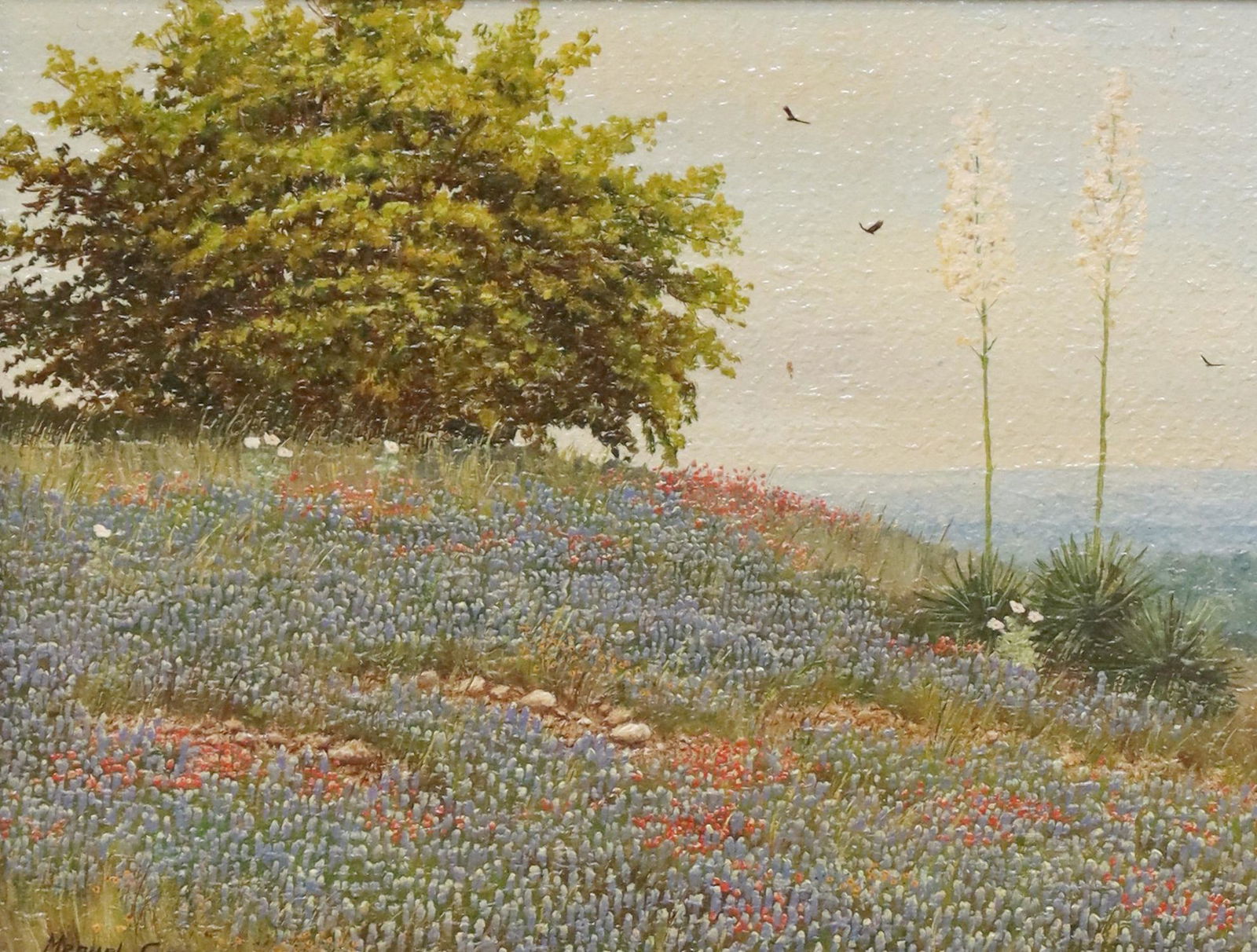 MANUEL GARZA (B.1940) TEXAS BLUEBONNETS & YUCCA (1 of 5)