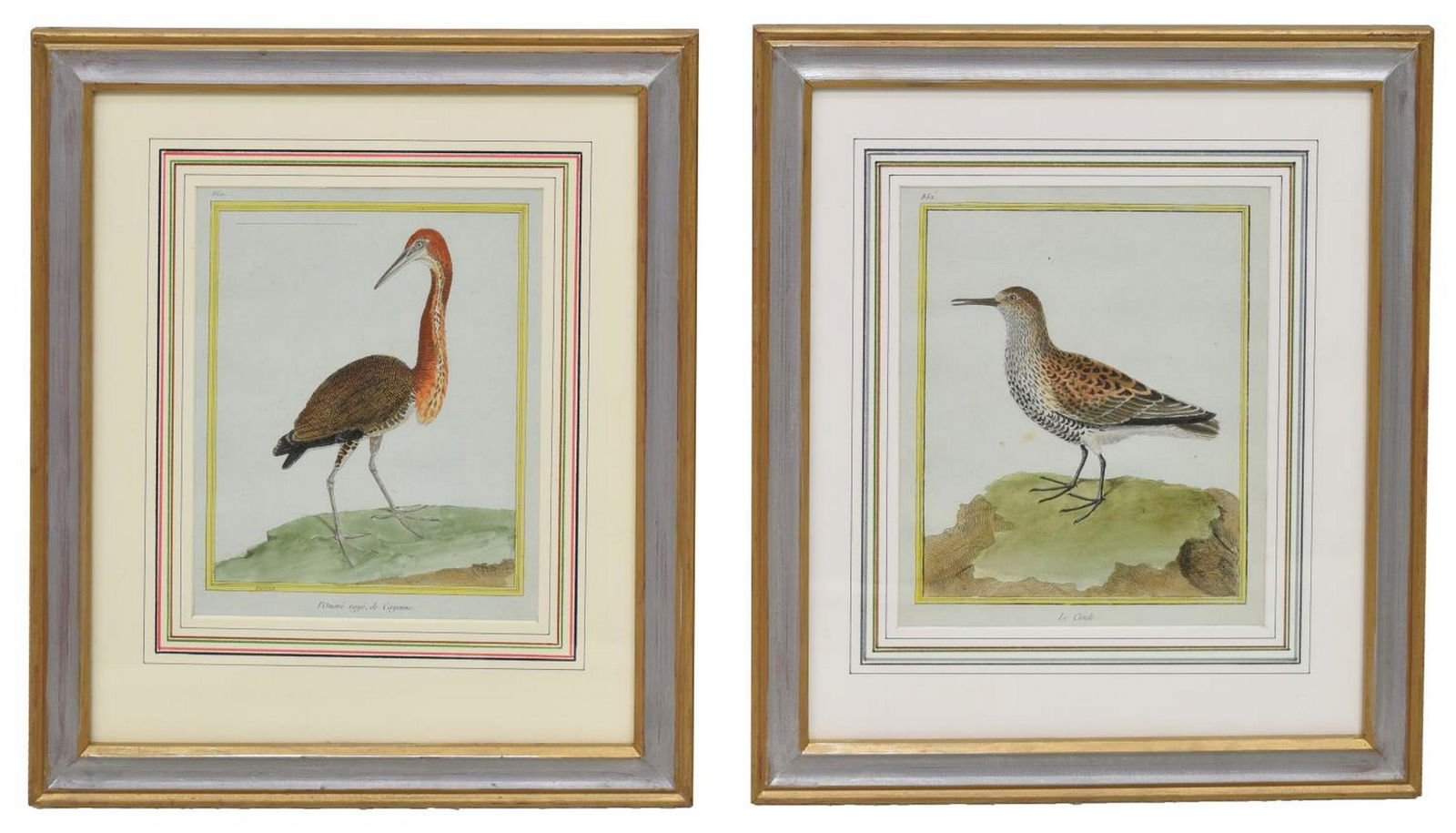 (2) AFTER F. MARTINET HAND-COLORED PRINTS OF BIRDS (1 of 5)