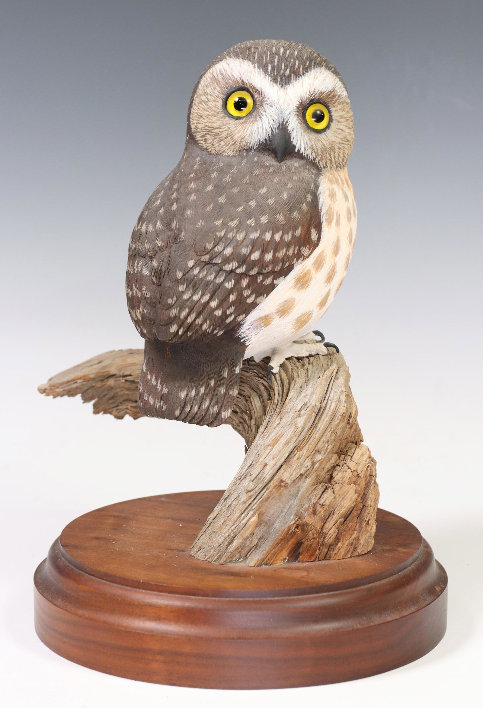 CONNIE TVETEN (B1945) REALISTIC WOOD OWL SCULPTURE: Realistic carved and painted wood sculpture, Owl, signed underfoot Connie Tveten (Montana, b.1945), dated [19]91, on integral wood base, approx 11"h, 10"w, .5"d, 3.5lbs **Provenance: From a fine Houst