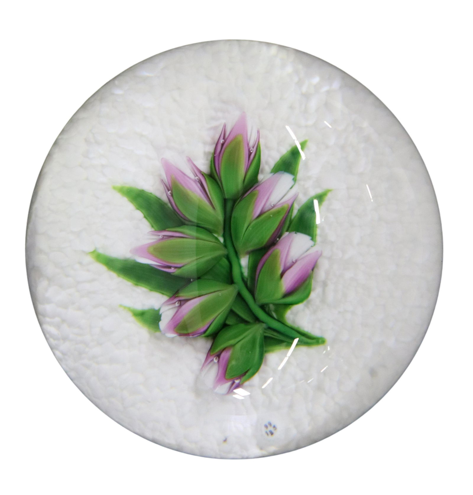 BACCARAT LTD ED CROCUS ON SNOW PAPERWEIGHT (1 of 7)
