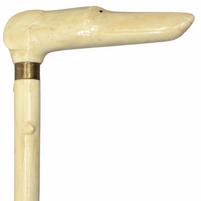 ANTIQUE, ALL IVORY WALKING CANE, HOUND DOG HANDLE: ***This Lot Will Not Be Shipped Internationally*** Antique Anglo-Indian ivory walking stick, early 20th c., having a handle in the form of a hound dog with black accented eyes and ending with the ears