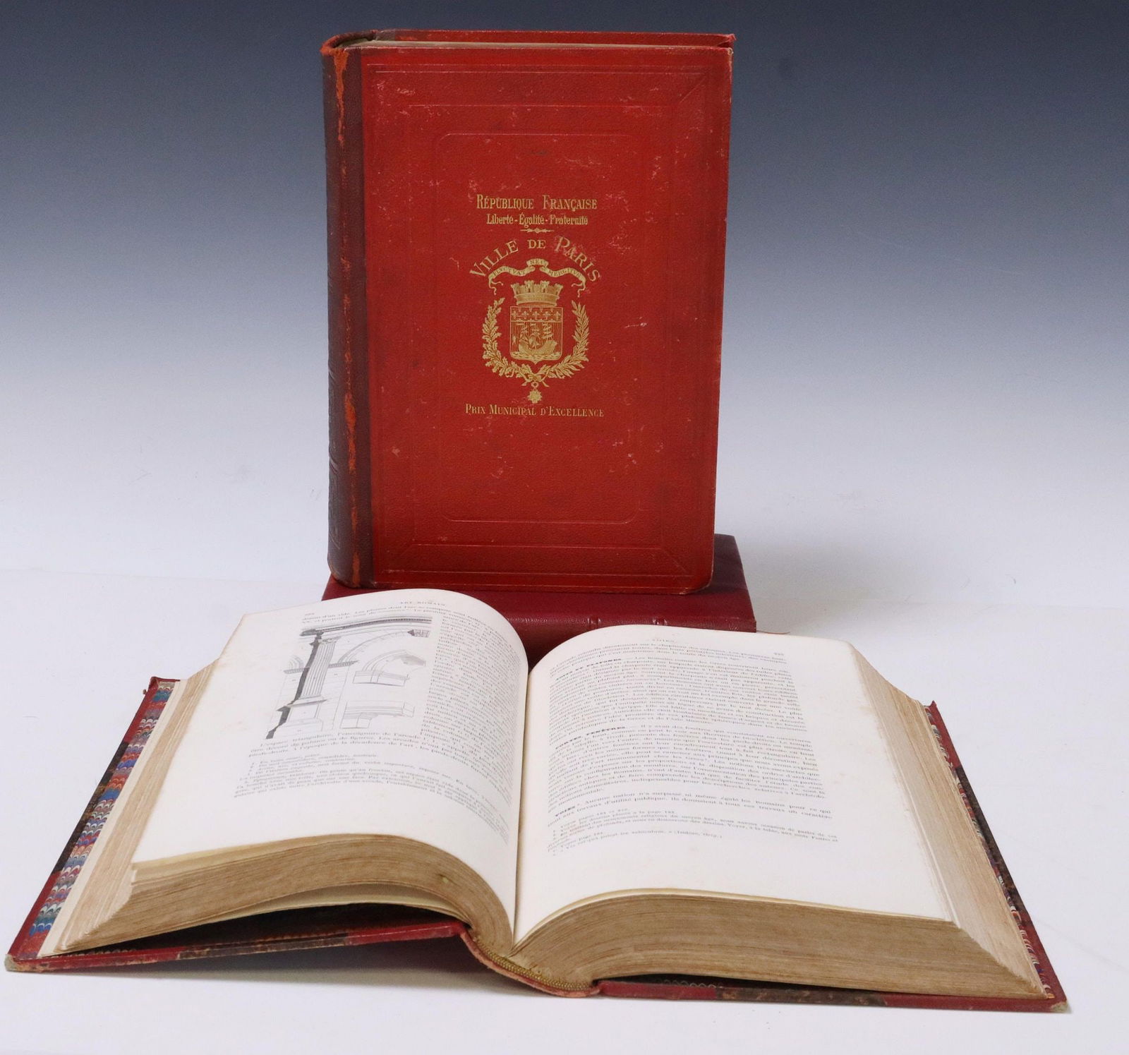 (3) FRENCH LIBRARY SHELF BOOKS, DICTIONARY (1 of 8)