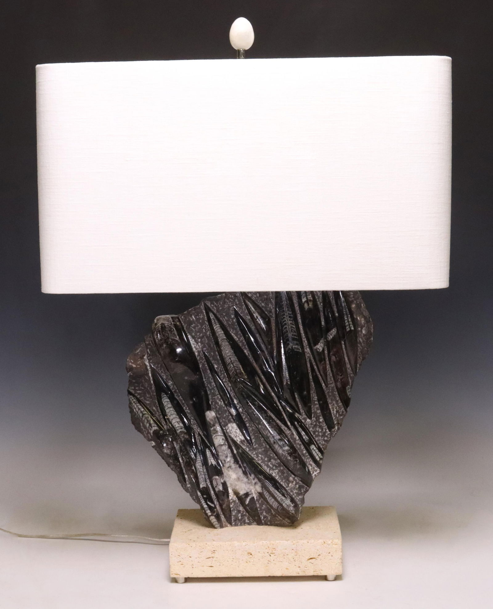 LARGE ORTHOCERAS FOSSIL PLATE NOW AS A TABLE LAMP (1 of 6)