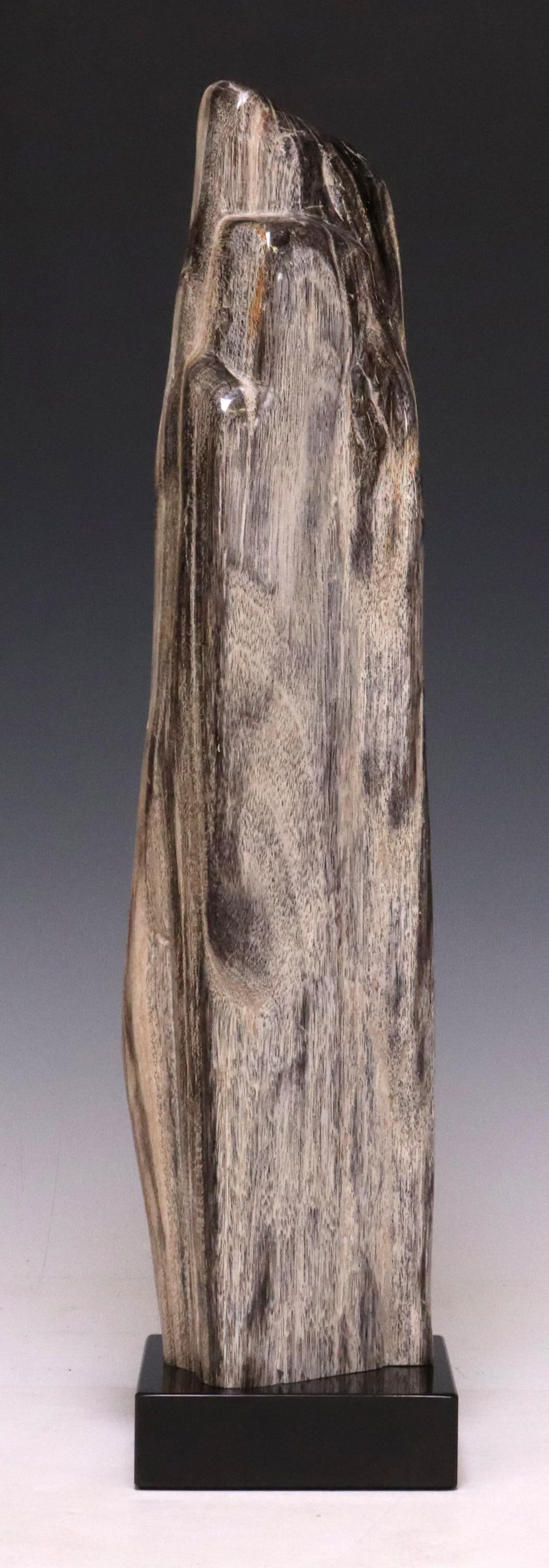 PETRIFIED WOOD SPECIMEN ON MARBLE BASE (1 of 5)