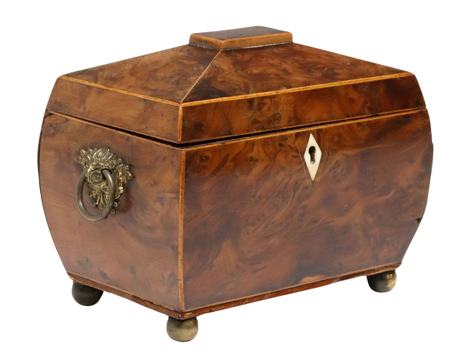 ENGLISH REGENCY PERIOD YEW BURL WOOD TEA CADDY (1 of 4)