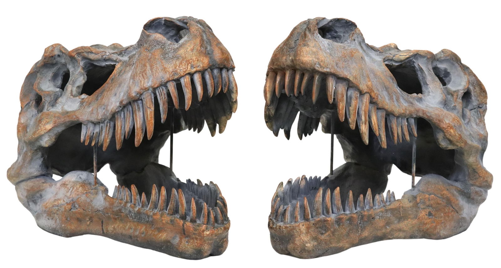 (2) DECORATIVE T-REX SKULL SCULPTURES (1 of 4)
