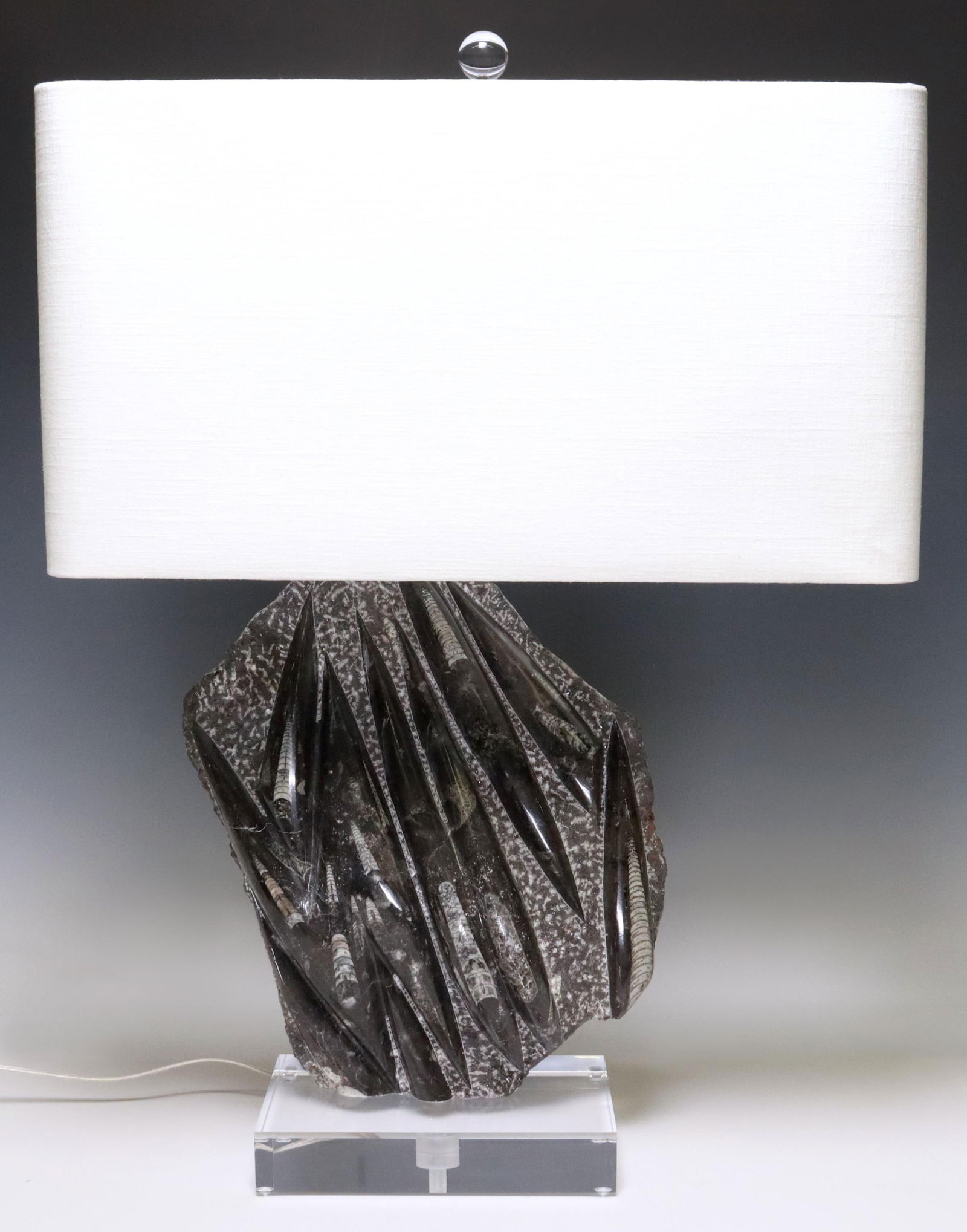 GEOLOGICAL ORTHOCERAS SPECIMEN 1-LT TABLE LAMP (1 of 5)