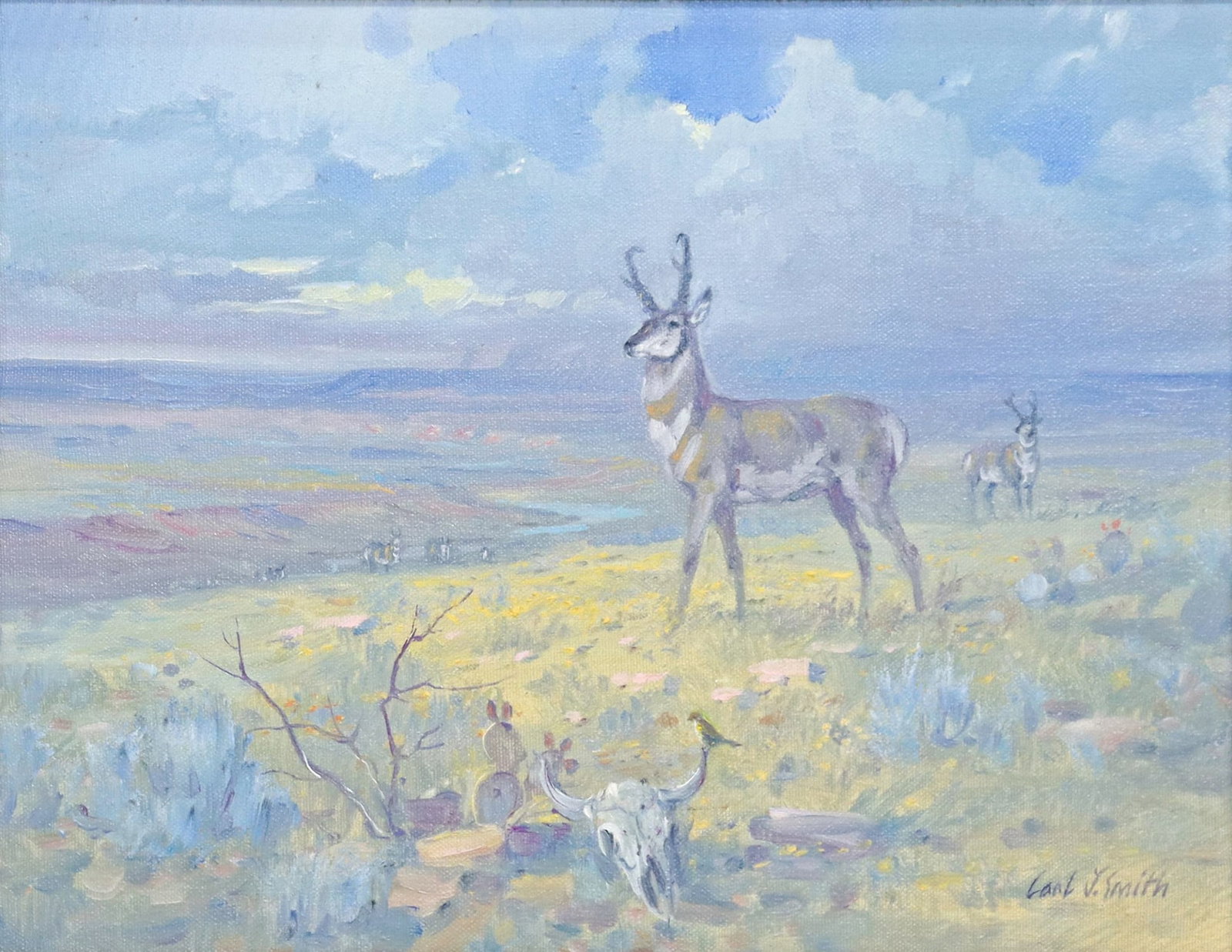 CARL J. SMITH (B.1928) PRONGHORNS, 11" X 14": Framed oil on canvas painting, "Prairie Sentinel," signed lower right Carl J. Smith (Texas, b.1928), Country Store Gallery label verso, sight: approx 10.5"h, 13.5"w, overall: 16.75"h, 19.75"w, 3.5lbs 
