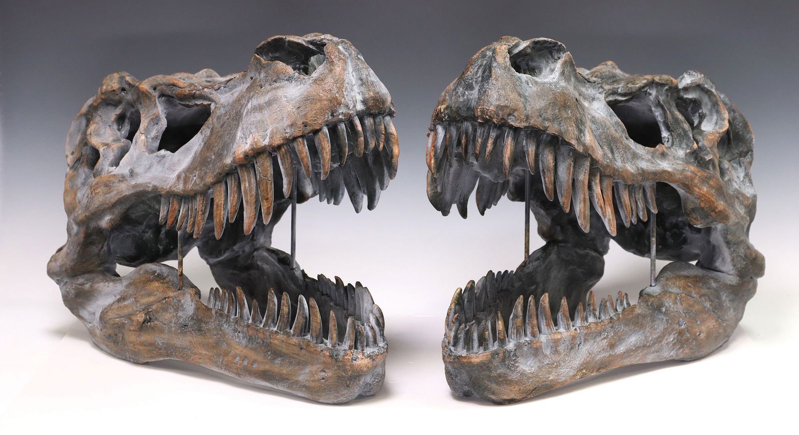 (2) DECORATIVE CAST RESIN T-REX SKULL SCULPTURES (1 of 3)