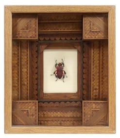 LAMPWORKED GLASS INSECT IN PARQUETRY SHADOWBOX FRAME