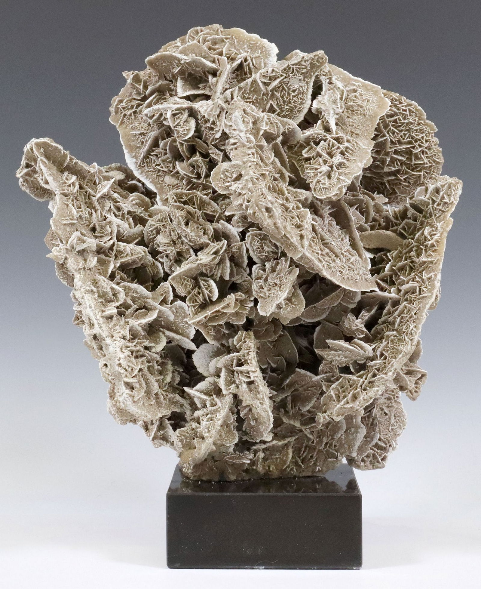 GEOLOGICAL BLADE SELENITE CLUSTER ON BLACK MARBLE BASE (1 of 3)