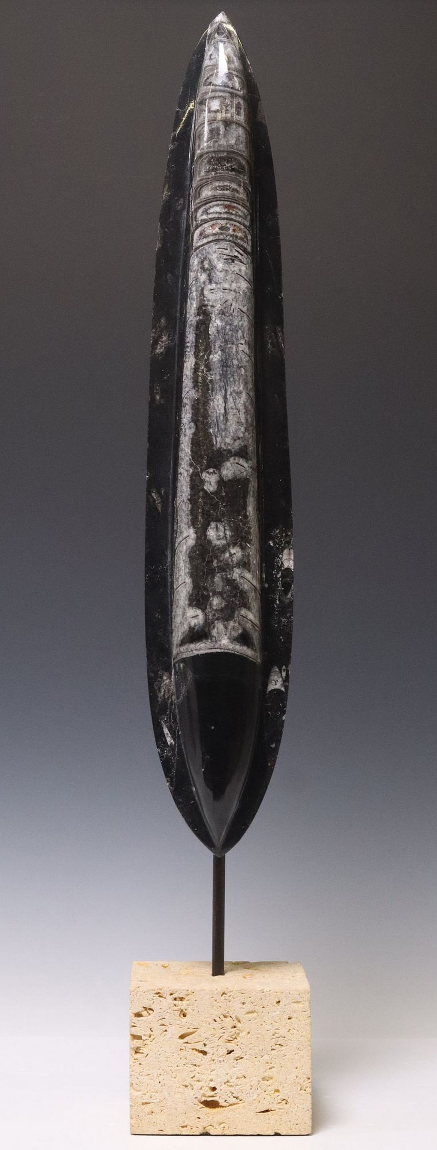 POLISHED ORTHOCERAS FOSSIL PLATE ON STONE BASE, 28"H (1 of 3)