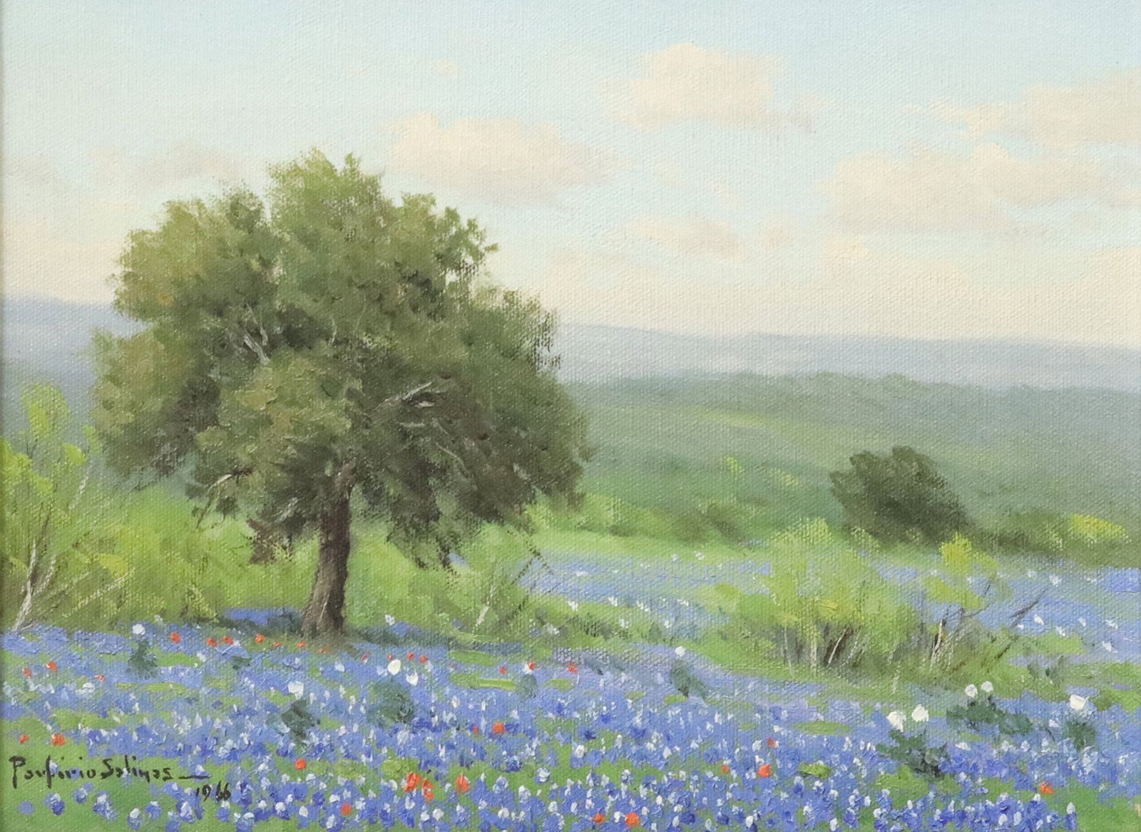 PORFIRIO SALINAS (1910-1973) BLUEBONNETS & LIVE OAKS, 12" X 16": Framed oil painting on canvas, Bluebonnets and Live Oaks, signed lower left Porfirio Salinas (Texas, 1910-1973), gallery tag and short Salinas newspaper obituary at verso, sight: approx 8.75"h, 11.75"