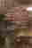 item-13556136=4