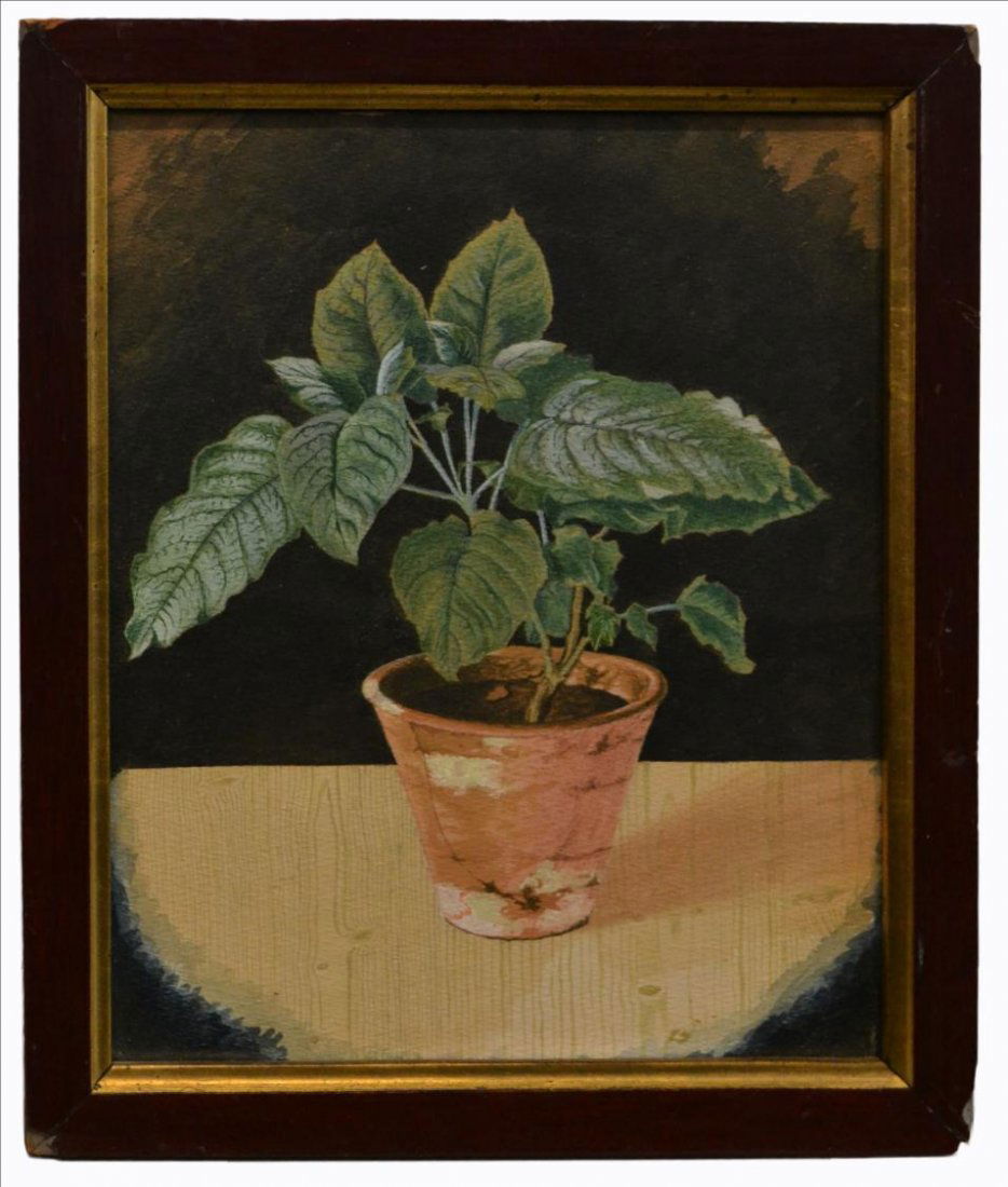 WATERCOLOR, PLANT STILL LIFE,GIFTED TO EDITH ROYAL: Framed watercolor painting on paper, Plant Still Life, a gift from Edith Royal's decorator Erin Jo Jurow, wife of renowned movie producer Martin Jurow, pen notation verso, stamped as pictured, sight: