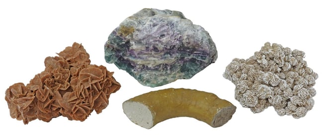 (4) GEOLOGICAL SELENITE, FLUORITE, & FOSSILIZED SPECIMENS
