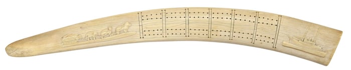 LARGE WALRUS TUSK SCRIMSHAW CRIBBAGE BOARD, 21"L