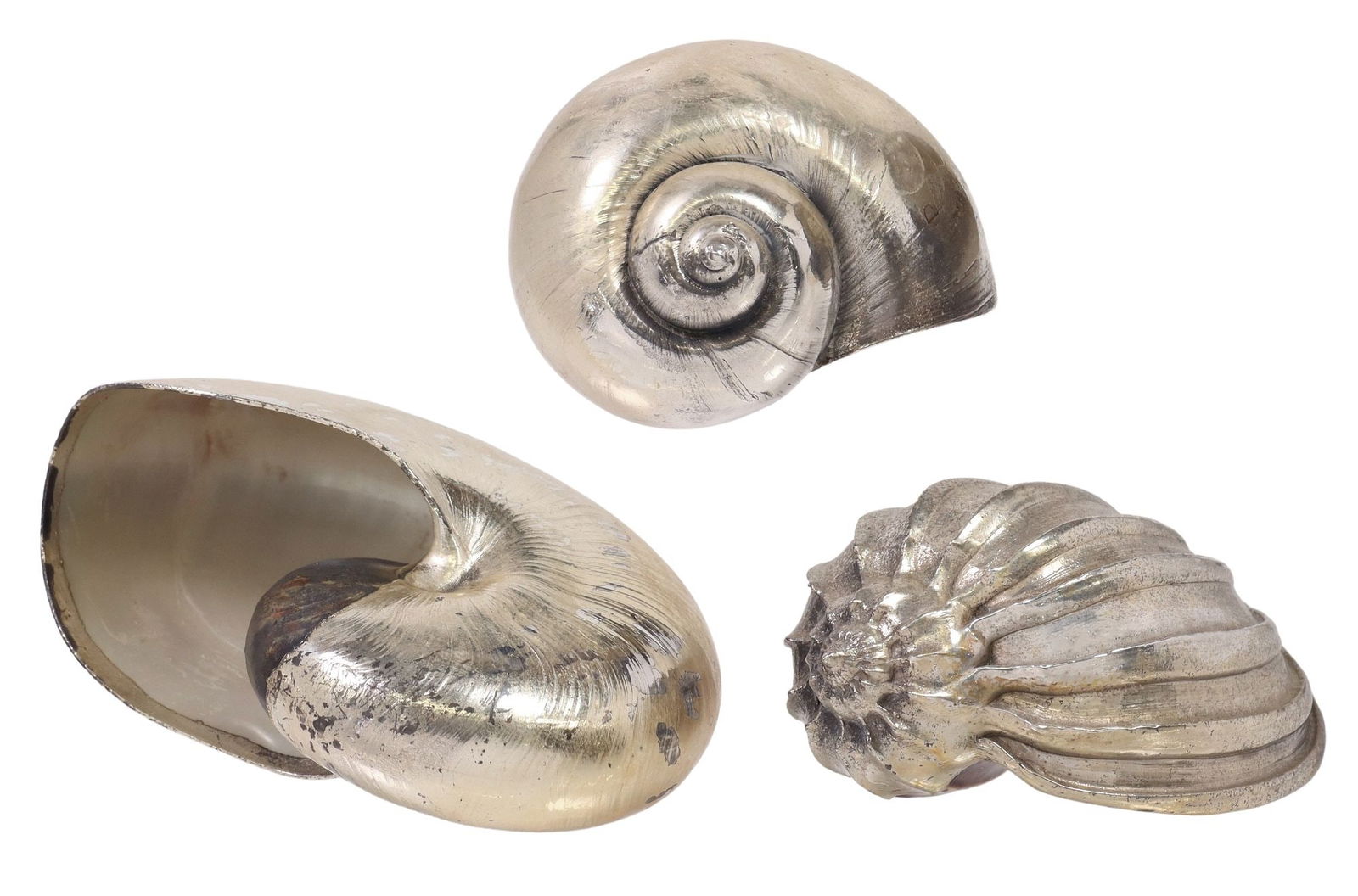 (3) ITALIAN SILVER-COATED NAUTILUS & SEA SNAIL SHELLS (1 of 4)