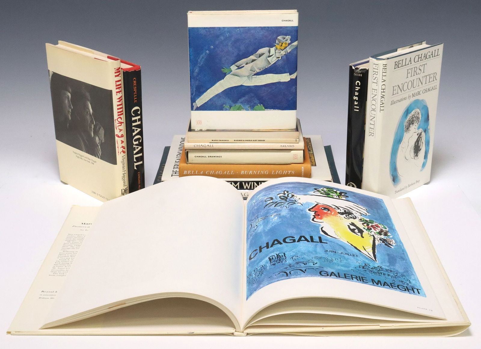 (14) COLLECTION OF ART BOOKS ABOUT ARTIST MARC CHAGALL (1887-1985) (1 of 8)