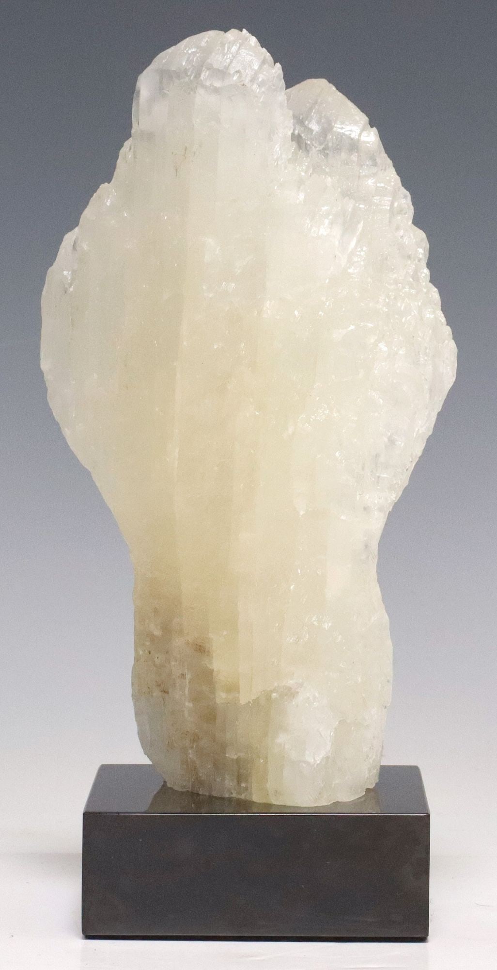 GEOLOGICAL FISHTAIL SELENITE SPECIMEN ON BLACK MARBLE BASE (1 of 3)