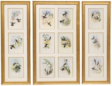 (3) AFTER JOHN GOULD (1804-1888) ORNITHOLOGICAL OFFSET PRINTS
