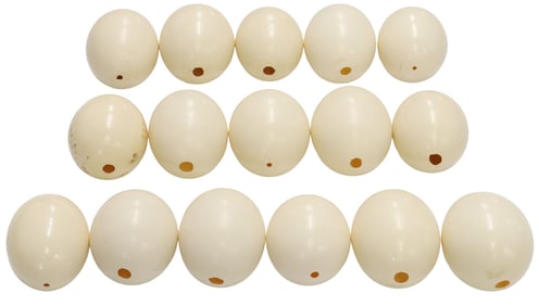 (16) COLLECTION OF OSTRICH EGG SHELLS