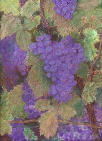 GLENN WHITEHEAD (B.1940) PASTEL VINEYARD GRAPEVINES