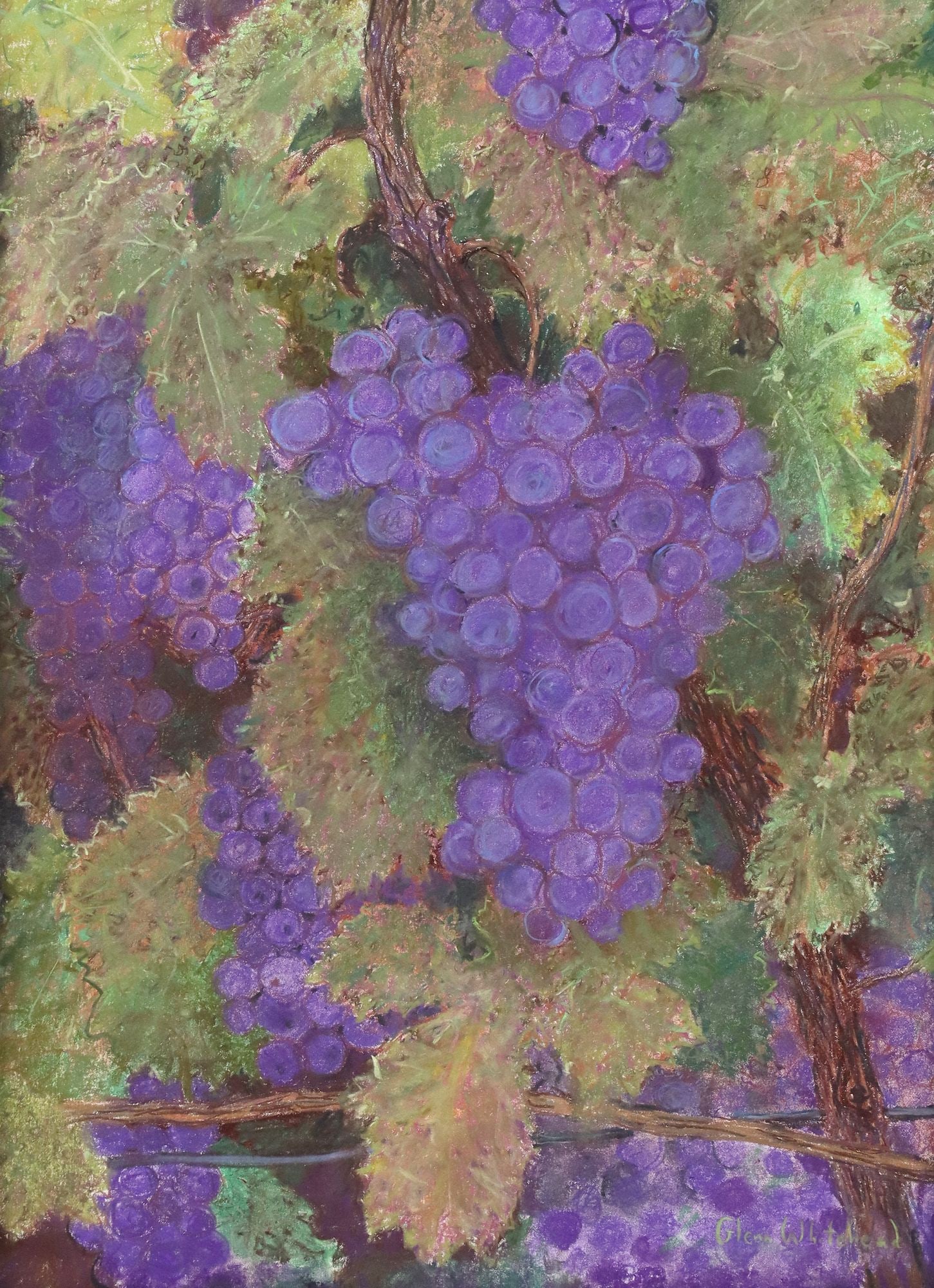 GLENN WHITEHEAD (B.1940) PASTEL VINEYARD GRAPEVINES: Framed pastel drawing on paper, Grapevines, signed lower right Glenn Whitehead (American, b.1940), sight: approx 23.5"h, 17"w, overall: 31"h, 24"w, 11lbs