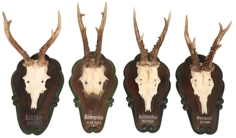 (4) AUSTRIAN BLACK FOREST DEER ANTLER TROPHY MOUNTS ON CARVED PLAQUES