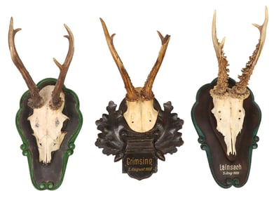 (3) AUSTRIAN BLACK FOREST DEER ANTLER TROPHY MOUNTS ON CARVED PLAQUES