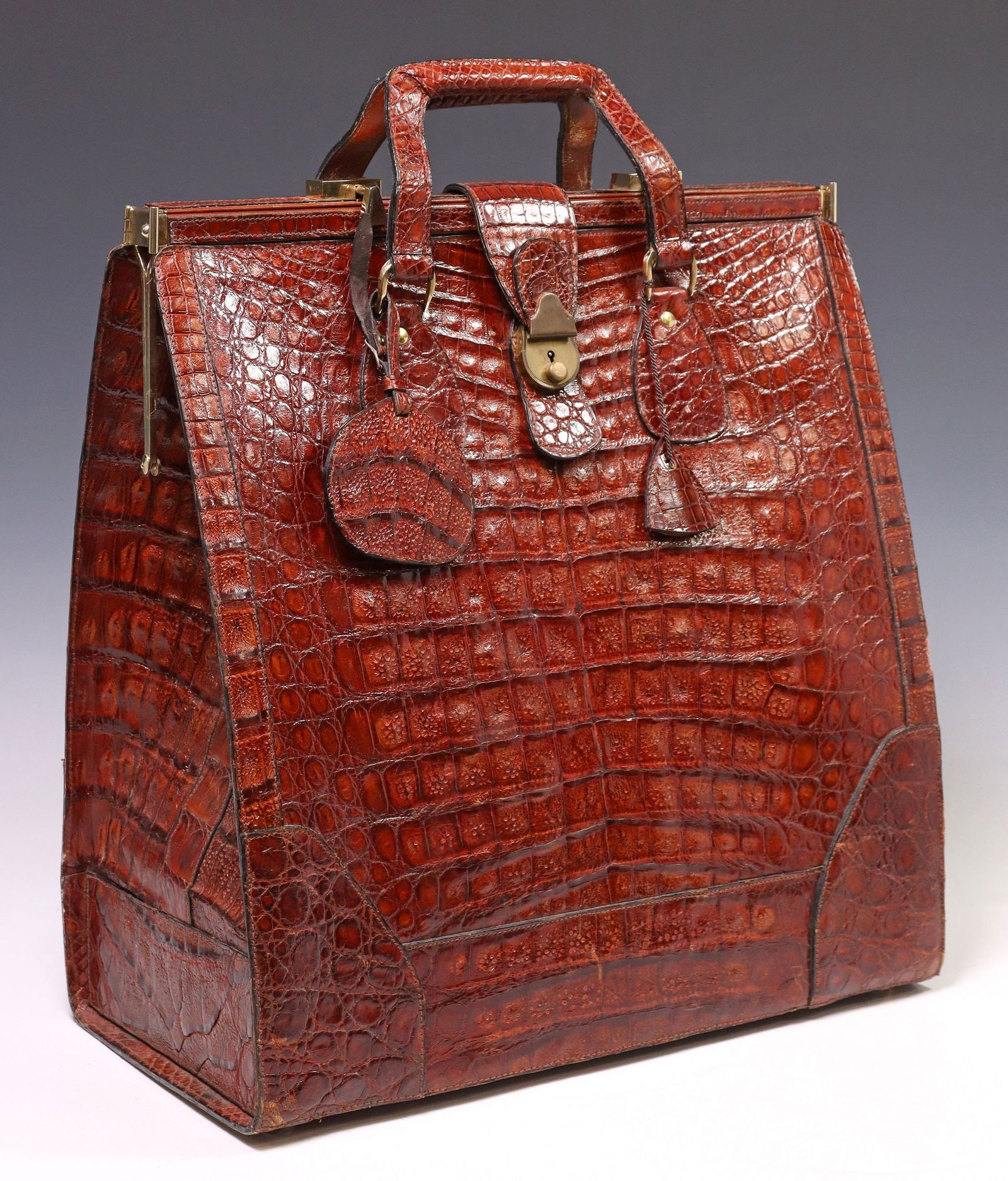 VINTAGE ALLIGATOR LEATHER FRAME BAG VALISE (1 of 5)