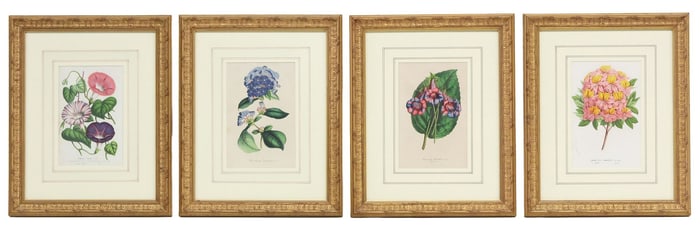 (4) AFTER LOUIS VAN HOUTTE BOTANICAL CHROMOLITHOGRAPH PRINTS