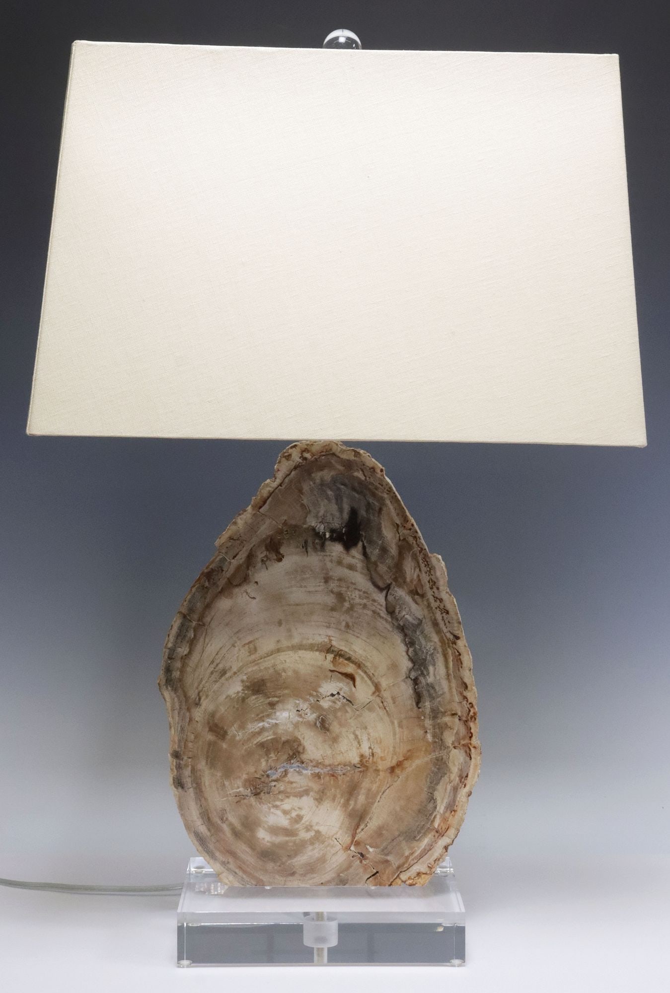 GEOLOGICAL PETRIFIED WOOD SPECIMEN 1-LT TABLE LAMP (1 of 5)