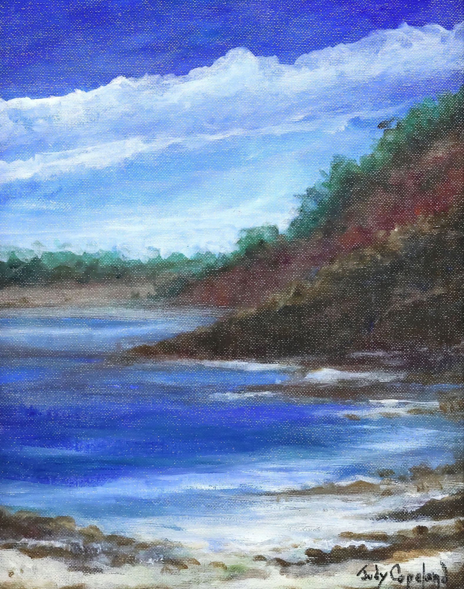 JUDY COPELAND (TX. 1943) ACRYLIC PAINTING 'COASTAL LANDSCAPE' (1 of 4)