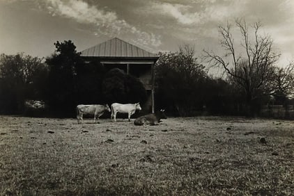 BILL WITTLIFF (1940-2019) GELATIN SILVER PRINT 'OUT WEBBERVILLE ROAD'