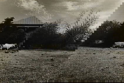 BILL WITTLIFF (1940-2019) GELATIN SILVER PRINT 'OUT WEBBERVILLE ROAD' (1 of 7)