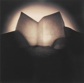 BILL WITTLIFF (1940-2019) TONED GELATIN SILVER PRINT 'LA VIDA BRINCA' 36" X 36"