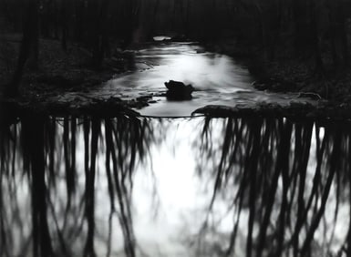 PAUL CAPONIGRO (1932-2024) 'REDDING WOODS CONNECTICUT' GELATIN SILVER PRINT, 1968
