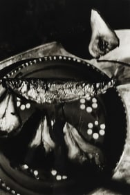 JEFFREY SILVERTHORNE (1946-2022) GELATIN SILVER PRINT, 'FISH & PEARS'