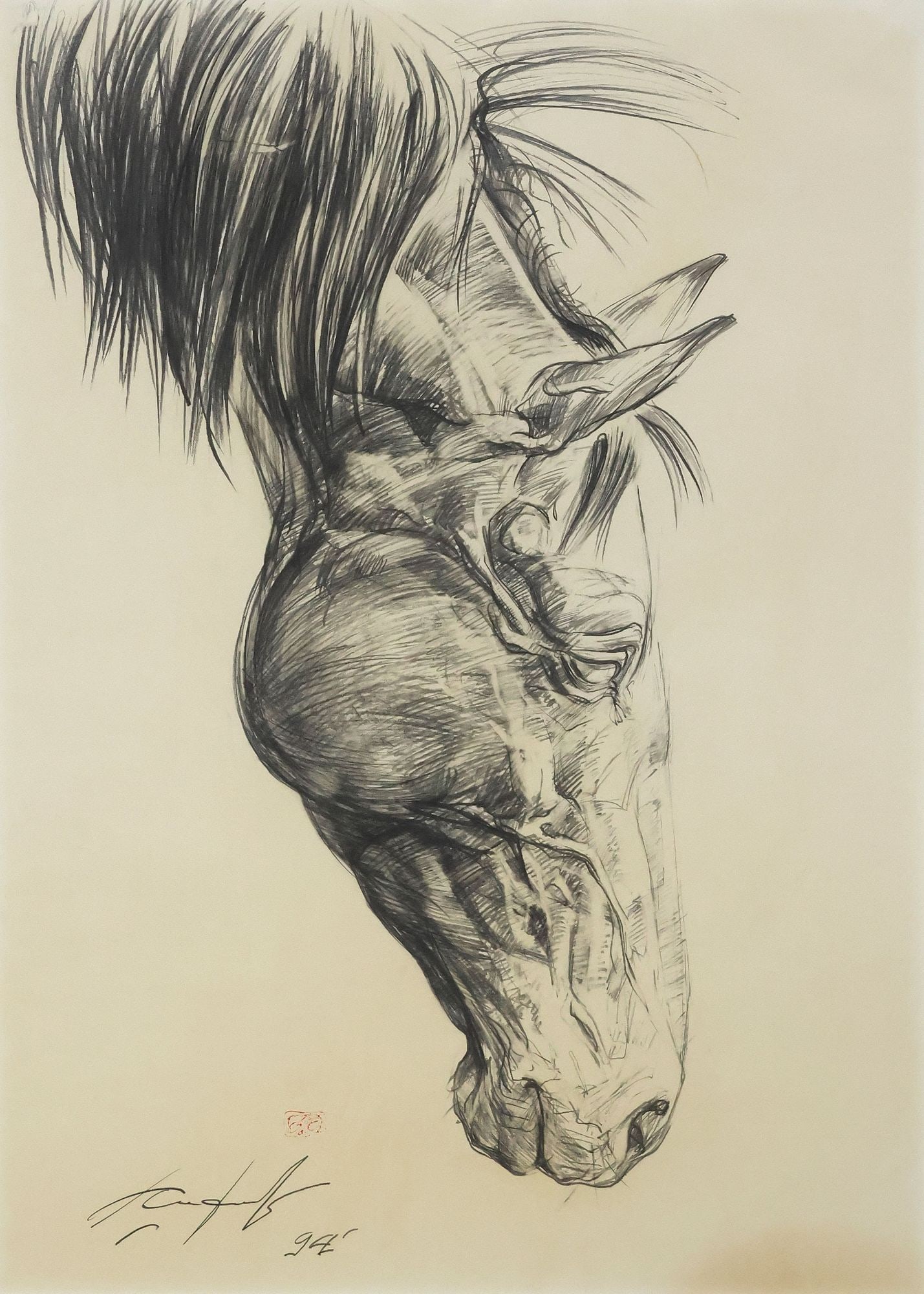 SIGNED STUDY OF A HORSE'S HEAD (1 of 4)