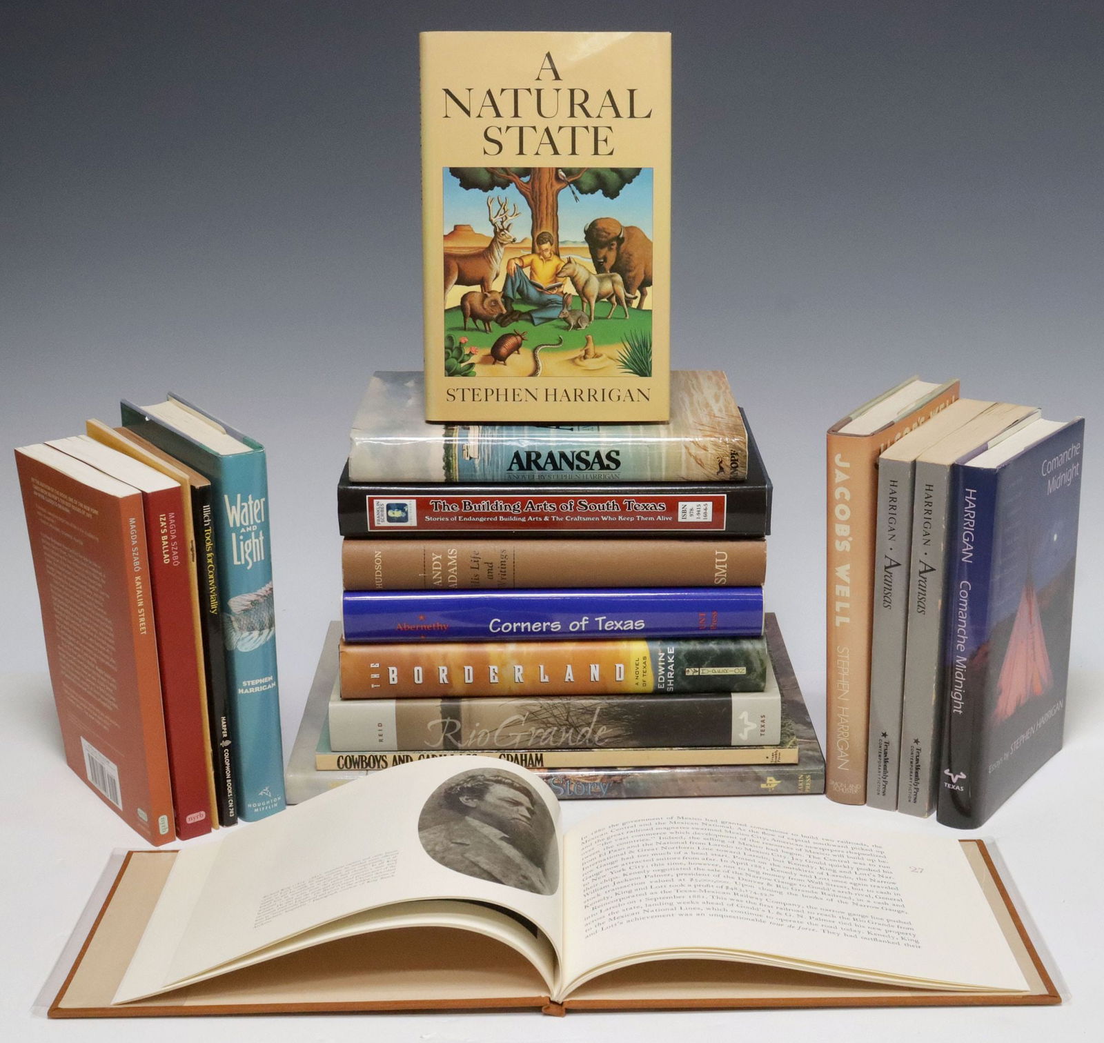 (19) BOOKS, TEXAS SUBJECTS & MORE, MANY SIGNED (1 of 8)