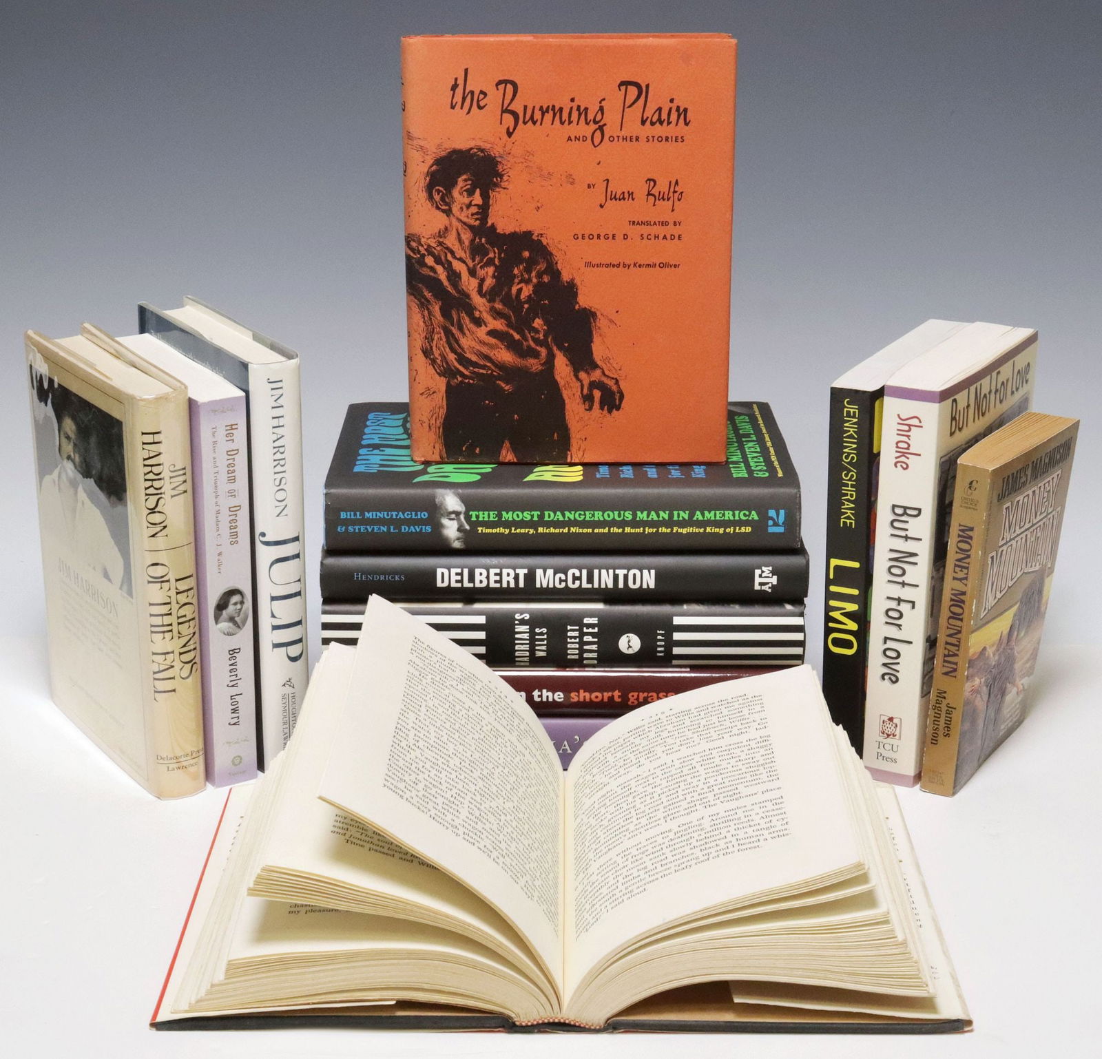 (13) BOOKS, NOVELS & BIOS, MANY AUTHOR SIGNED (1 of 8)