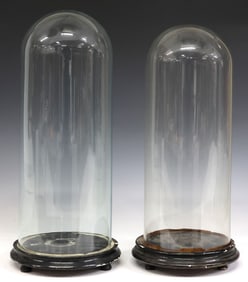 (2) GLASS CLOCHES/ DOMES ON PAINTED WOOD BASE