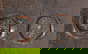 item-208409214=8