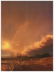 AFTER WYMAN MEINZER (TEXAS, B.1950) PHOTOGRAPH PRINT ON CANVAS, 48" X 36"