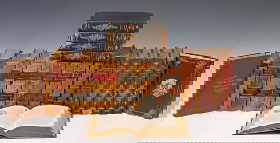 (23) LEATHER-BOUND LIBRARY SHELF BOOKS: LAW & HISTORY SUBJECTS