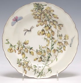 SCARCE CHELSEA 'HANS SLOANE' BOTANICAL PLATE, 18TH C.